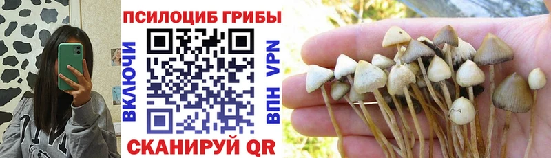 kraken ССЫЛКА  Темников  Галлюциногенные грибы мухоморы 